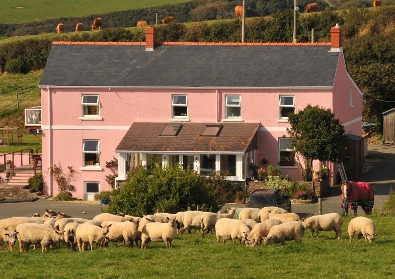 The Bower Farm
